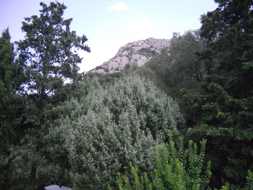 Agriturismo La Casa delle Fate Loiri Porto San Paolo Esterno foto
