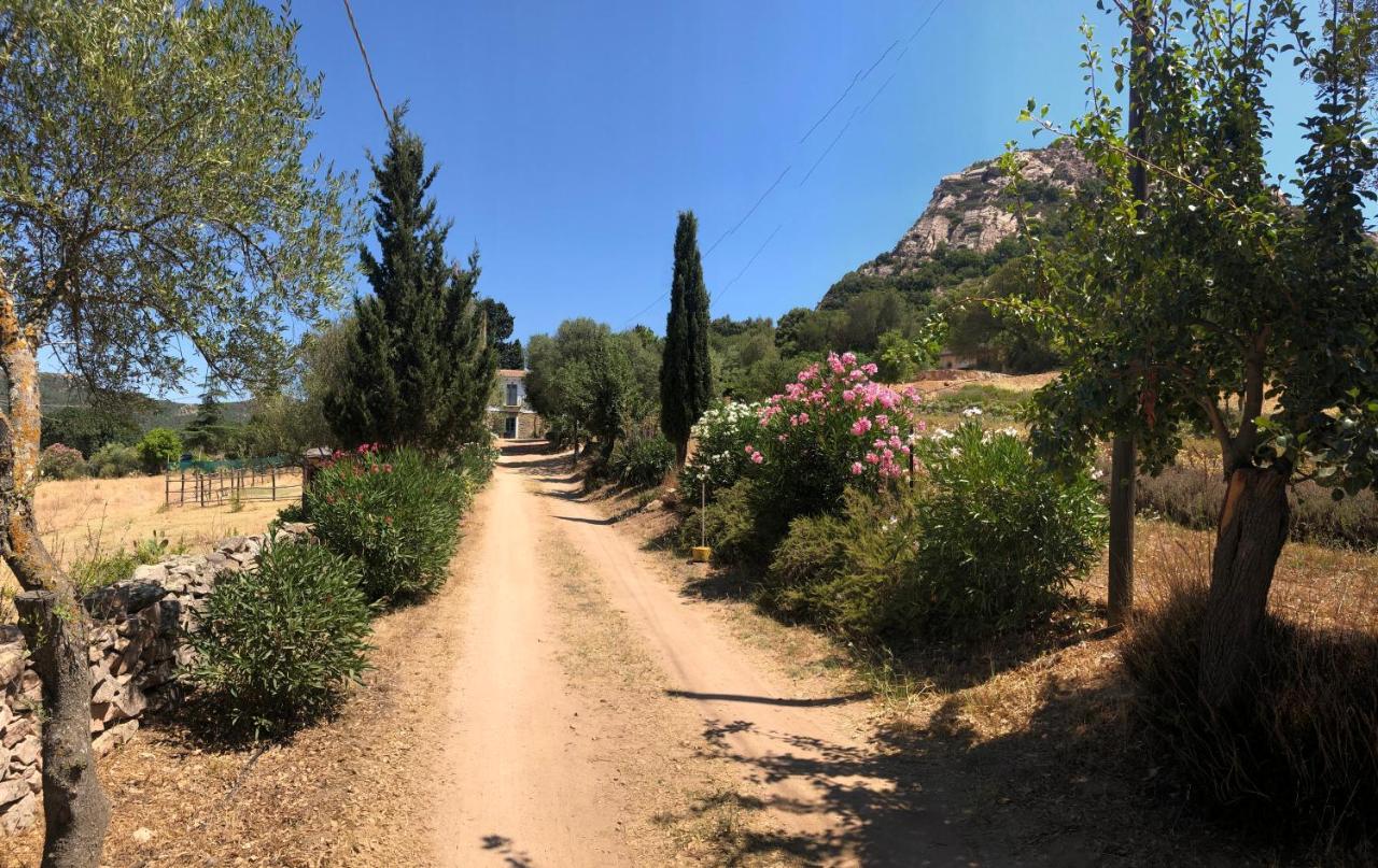 Agriturismo La Casa delle Fate Loiri Porto San Paolo Esterno foto