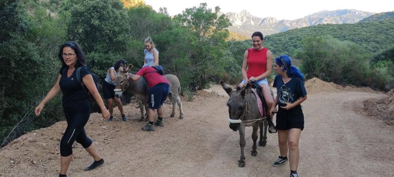 Agriturismo La Casa delle Fate Loiri Porto San Paolo Esterno foto