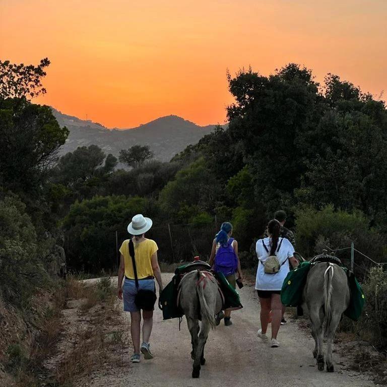 Agriturismo La Casa delle Fate Loiri Porto San Paolo Esterno foto