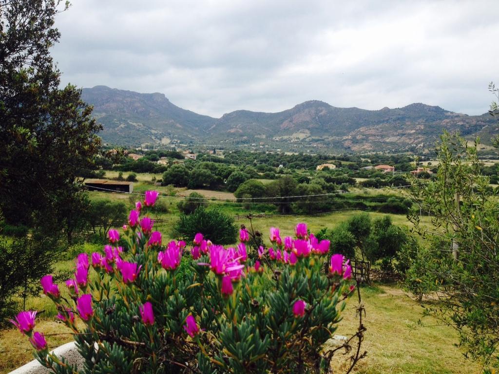 Agriturismo La Casa delle Fate Loiri Porto San Paolo Esterno foto