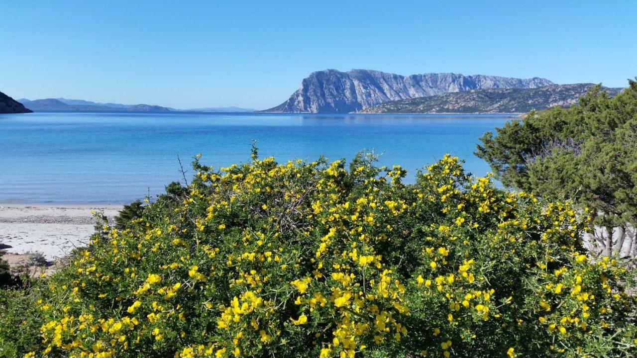 Agriturismo La Casa delle Fate Loiri Porto San Paolo Esterno foto