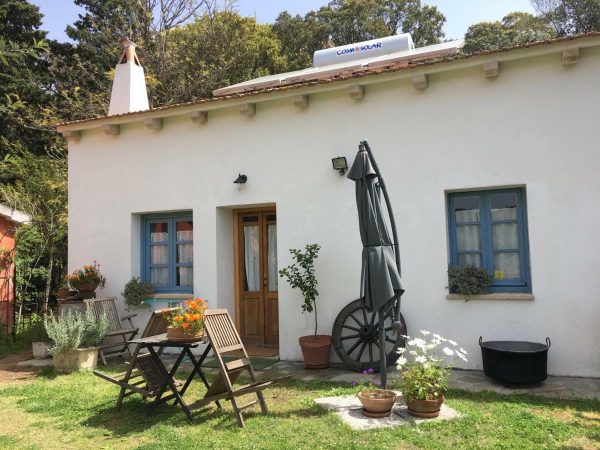 Agriturismo La Casa delle Fate Loiri Porto San Paolo Esterno foto