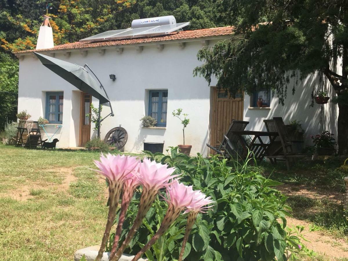 Agriturismo La Casa delle Fate Loiri Porto San Paolo Esterno foto